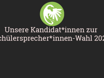 Vorstellung der Kandidat*innen